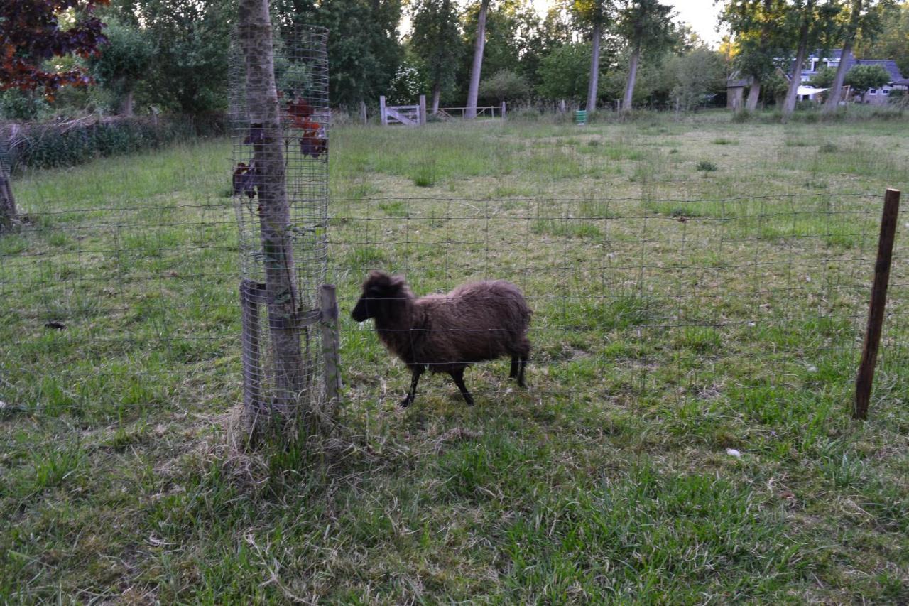 Geersdijk De Galerie - Landgoed Rijckholtヴィラ エクステリア 写真